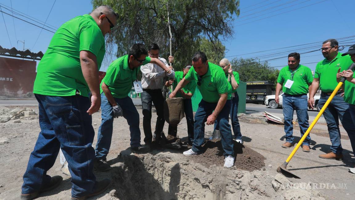 $!La reforestación fue considerada por Saltillo Verde como un precedente positivo de justicia ambiental que demuestra la importancia de la colaboración interinstitucional.