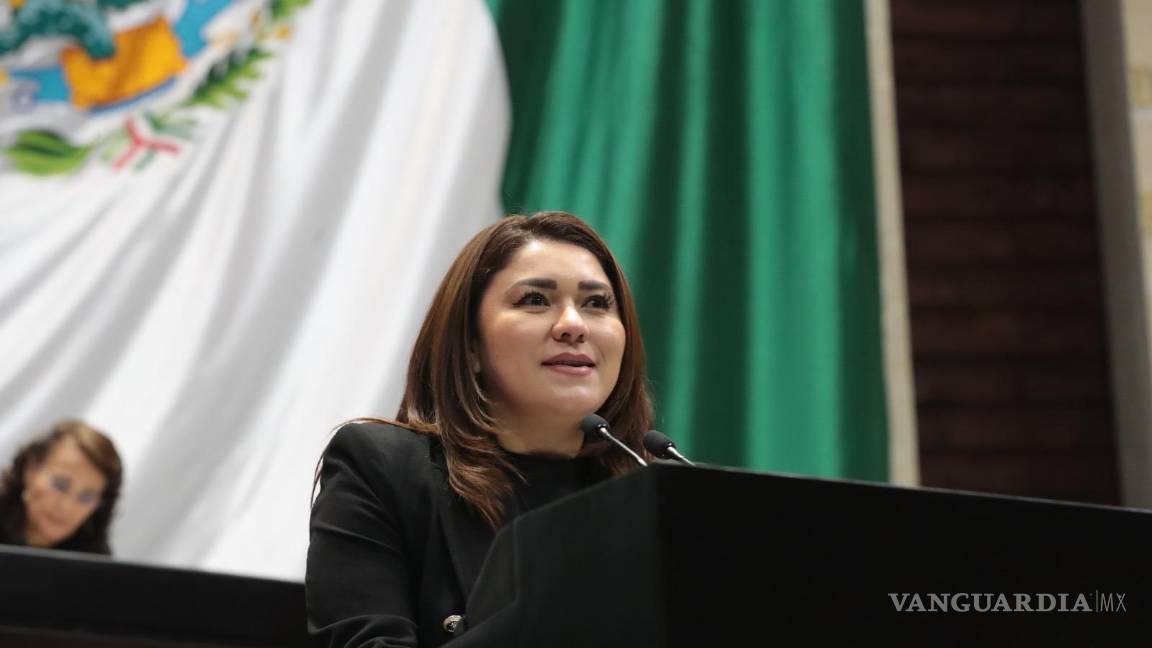 $!Plantea diputada Cruz Peláez, del PVEM, reformar la Ley General de Salud | Foto: Especial