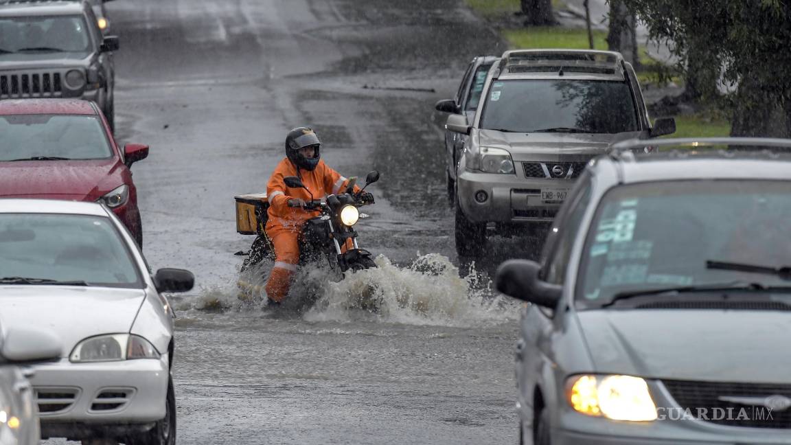 La naturaleza tiene memoria