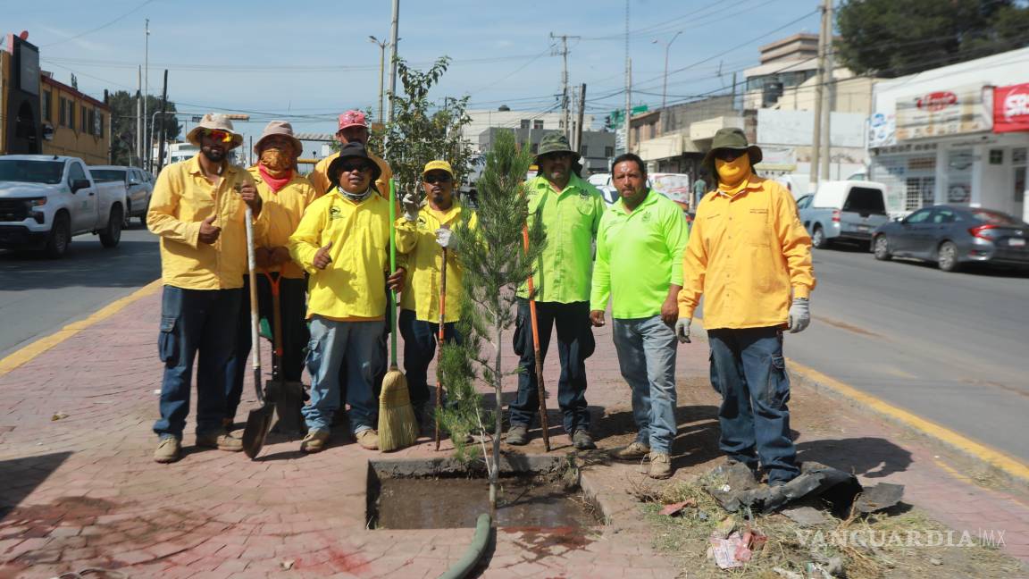$!El tramo reforestado va del periférico LEA a avenida Universidad.