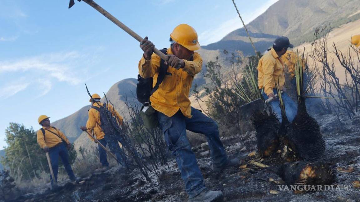 ¡No enciendas fogatas en el bosque! Lanza PC prevenciones para evitar incendios forestales en Saltillo