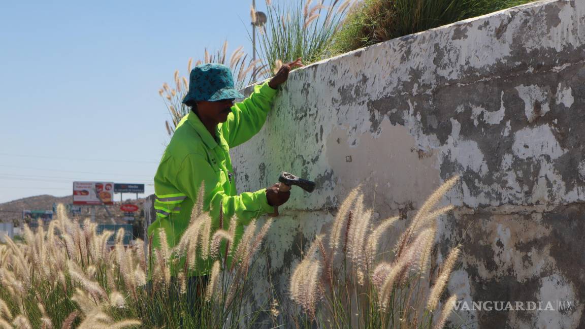 $!La rotonda a Venustiano Carranza fue rehabilitada con restauración de fuente, sistema de riego con agua tratada y reforestación con ornato.