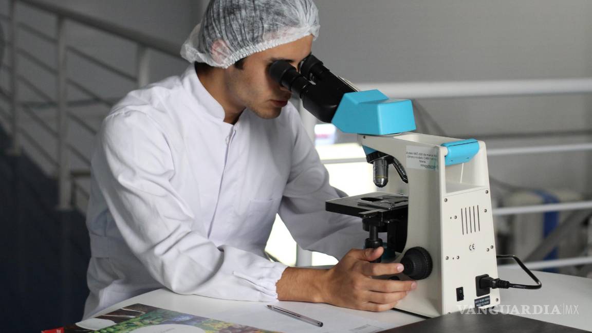 $!El linfoma es un cáncer que se desarrolla en las células del sistema linfático.