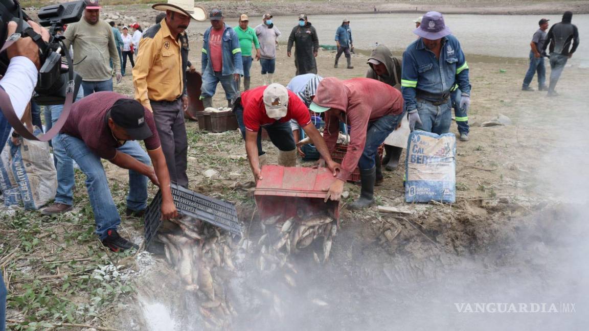 Sequía en presa La Requena de Hidalgo ha provocado la muerte de 4 mil toneladas de peces