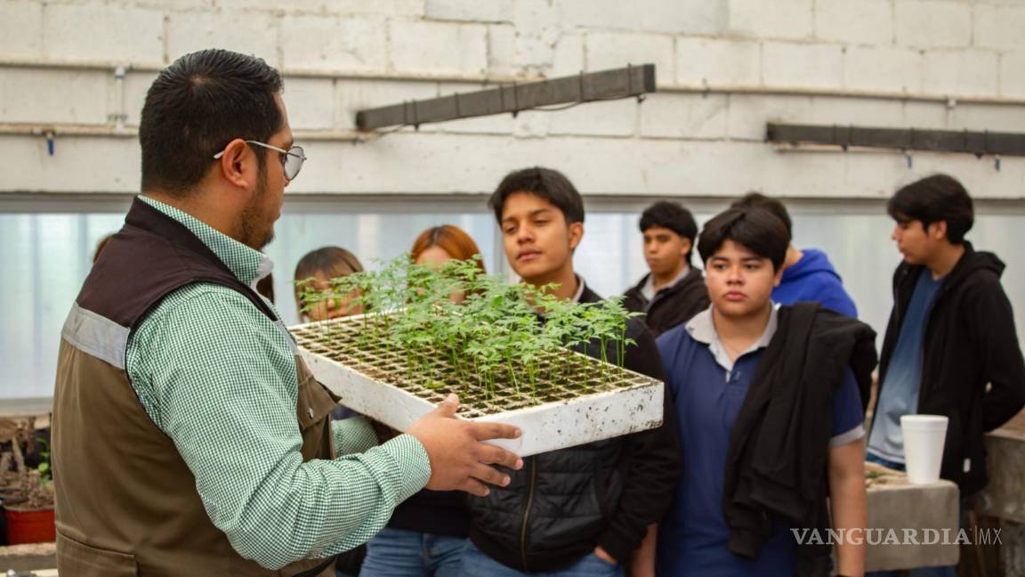 Medio Ambiente invita a la ciudadanía a sumarse al uso responsable de especies arbóreas en Torreón