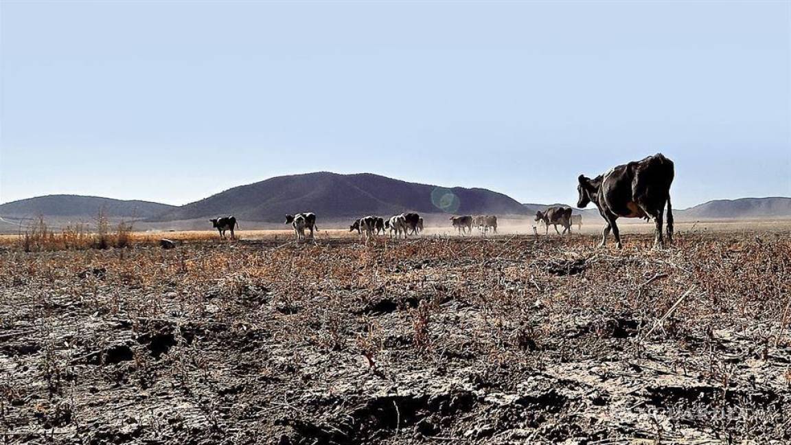 Más del 60% de México experimenta sequía; la proporción más alta desde 2014