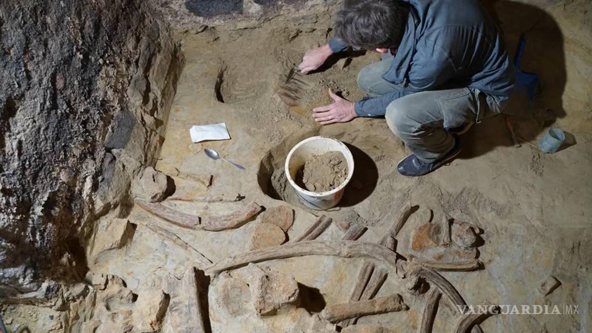 $!Expertos del Instituto Arqueológico Austriaco trabajan con huesos de mamut de hasta 40,000 años de antigüedad encontrados en una bodega en Austria.