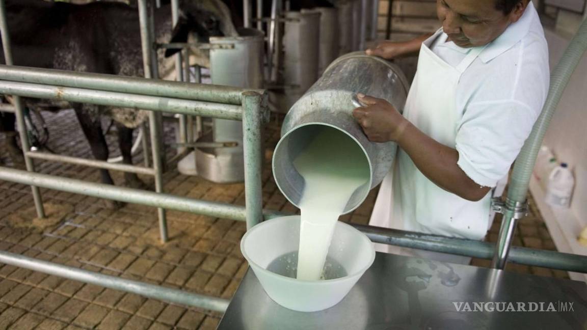 Es Coahuila la segunda potencia en lácteos, con un valor de 12 mil mdp, según el SIAP