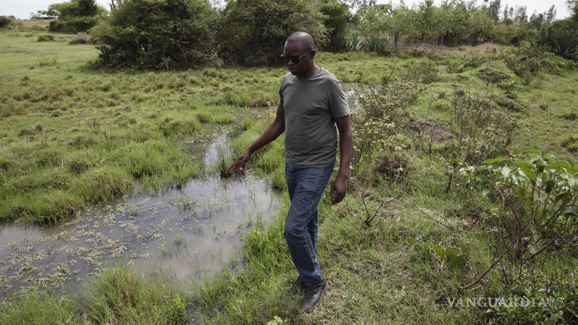 $!La Organización Mundial de la Salud exige dos grandes ensayos clínicos aleatorizados, realizados en dos entornos geográficos y epidemiológicos diferentes, que demuestren un impacto positivo