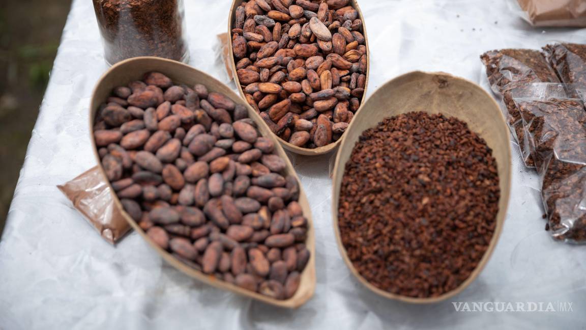 El cacao, el ‘oro marrón’ que cada vez está más escaso