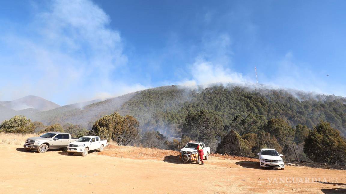 $!Más de 100 brigadistas combaten incendio en El Tunal, Arteaga