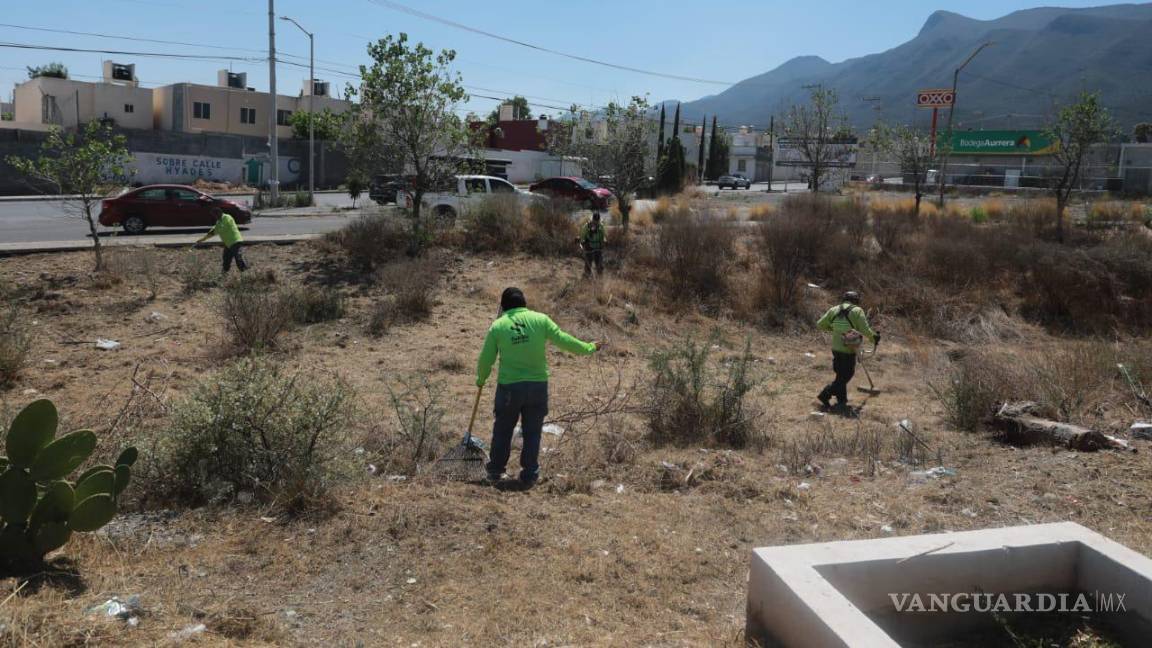 $!En el camellón central del Eje 5 del Nuevo Centro Metropolitano, se realizaron labores de deshierbe.