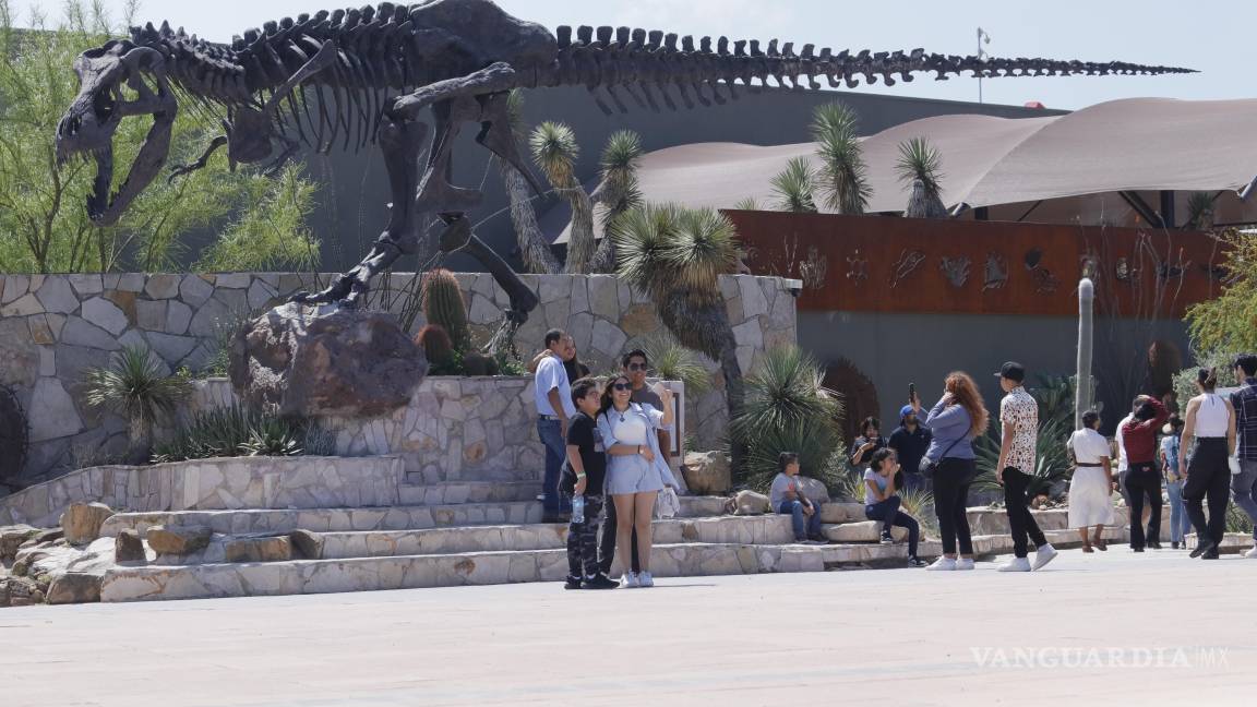 Accidente vial dejó sin electricidad al Museo del Desierto de Saltillo; se vio obligado a cerrar algunas áreas