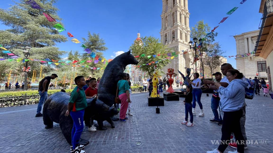 Bajan temperaturas en Saltillo; el frente frío 8 llega con un poco más de fuerza