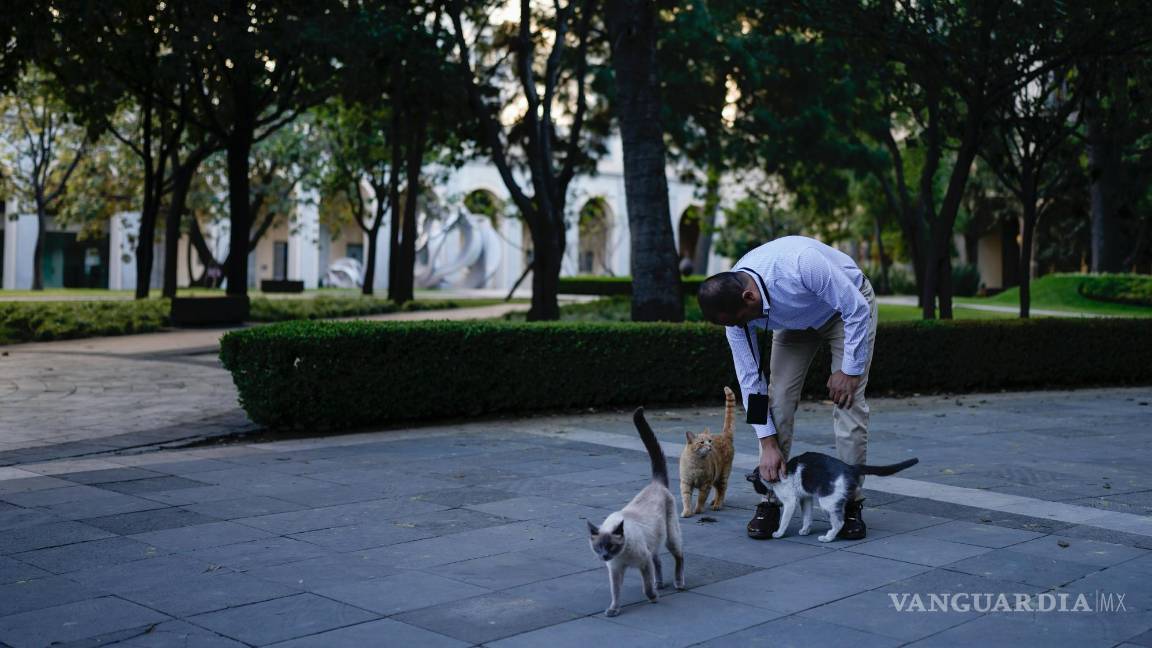 $!El veterinario Jesús Arias saluda a Ollin en un jardín del Palacio Nacional en Ciudad de México.