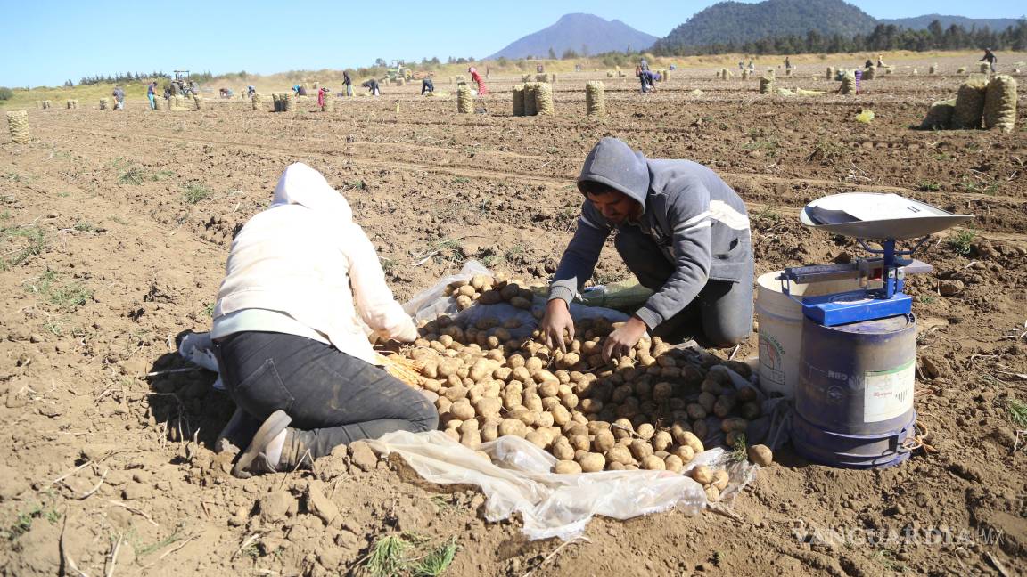 Acusan productores del campo sobreprecios en supermercados