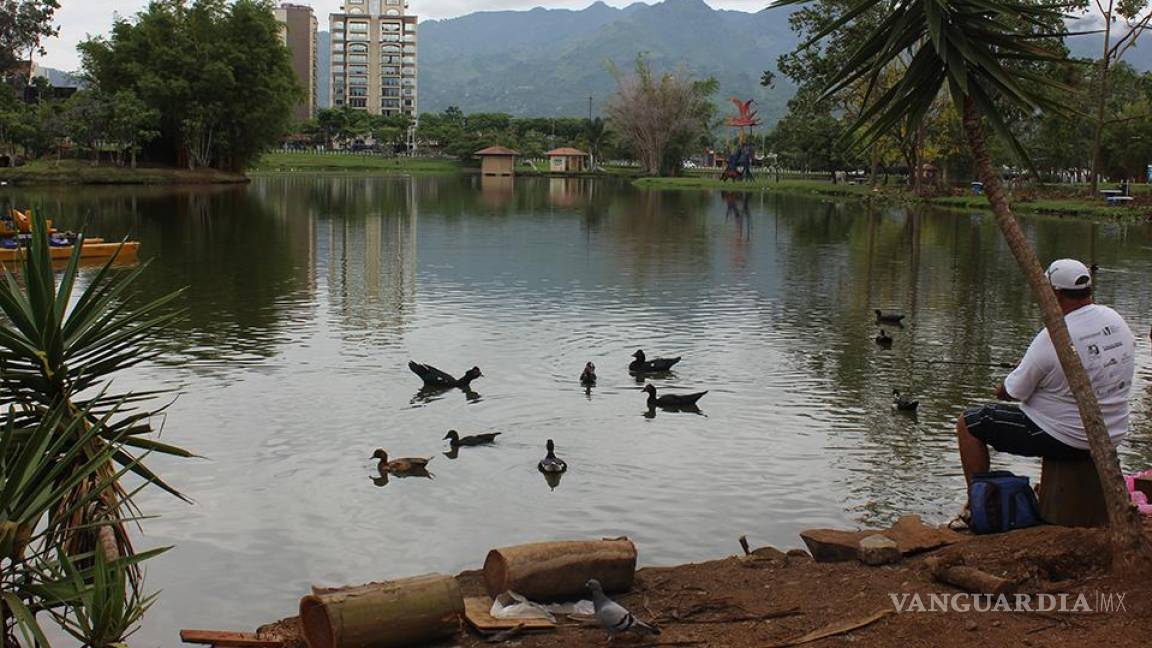 San José, Costa Rica: desigualdades y jardines