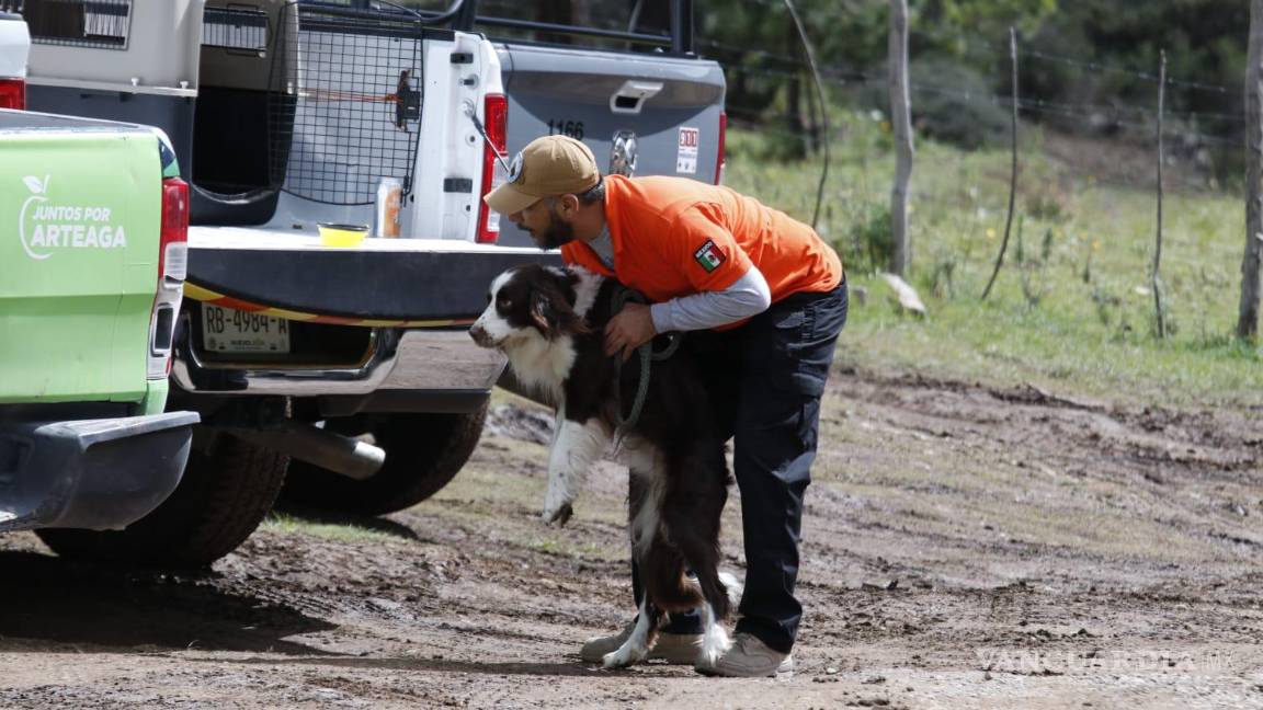 $!alrededor de 80 brigadistas, Bomberos, elementos de Protección Civil, policías municipales y estatales, propietarios de predios y perros rastreadores, participan en la búsqueda.
