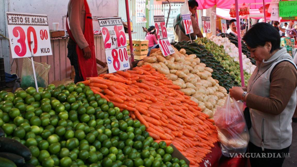 Aumentan exportaciones mexicanas de brócoli al extranjero