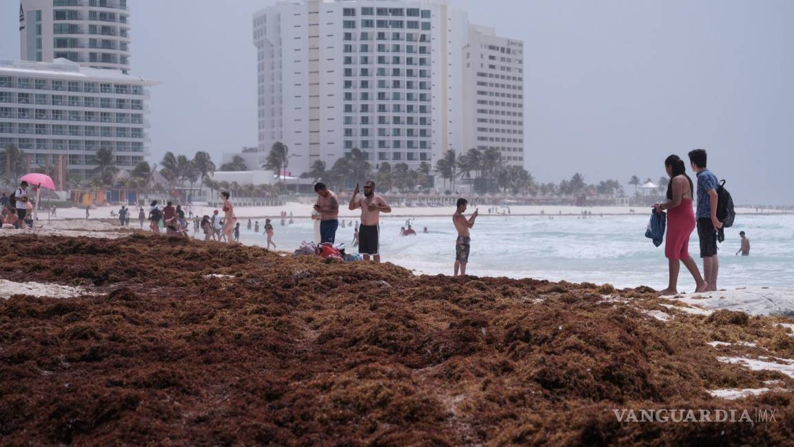 $!Aspectos de la playa en este destino turístico, con el arribo de una gran cantidad de sargazo a las costas de Quintana Roo.