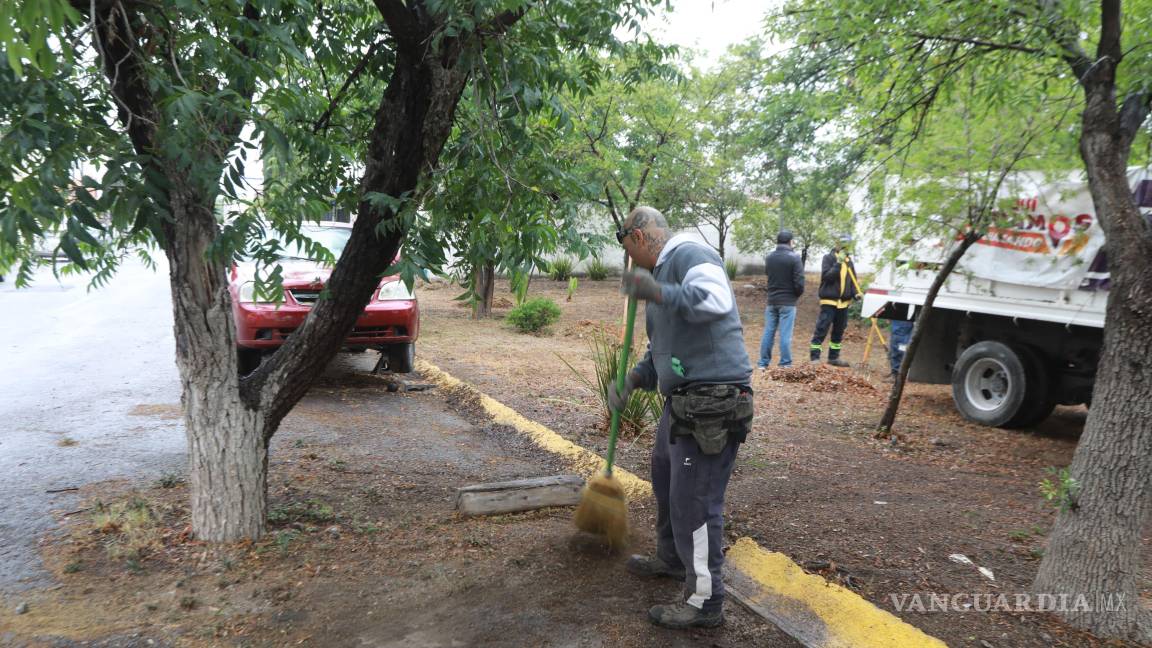 $!Las labores de reforestación incluyeron la plantación de árboles como fresnos, maples y truenos, que mejorarán la calidad del aire y brindarán sombra en zonas urbanas del sur de Saltillo.