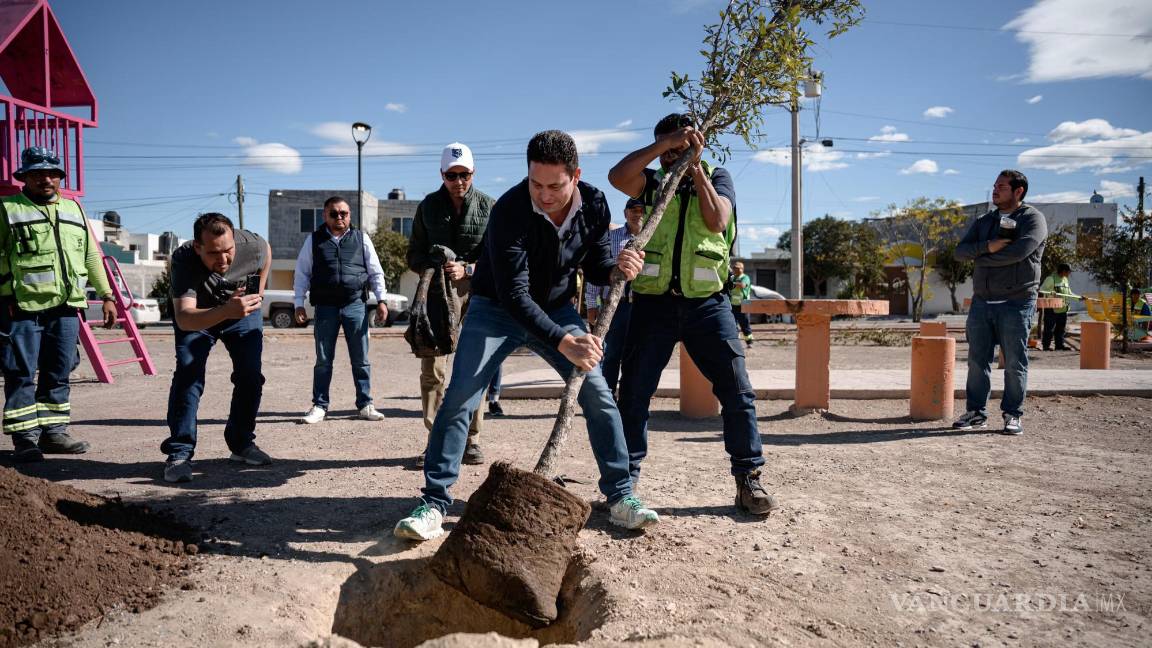 $!El trabajo de reforestación y el rastrilleo contribuyen al embellecimiento de la plaza, que será un espacio renovado para la comunidad de la colonia Saltillo 2000.