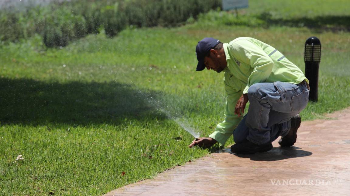 Saltillo impulsa uso de agua tratada para riego y fuentes públicas: compromiso ambiental en acción