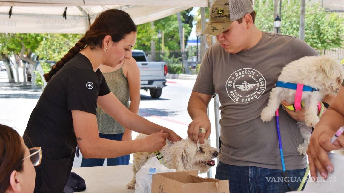 Cuatro Ciénegas esterilizará mascotas a bajo costo como parte de ‘Patitas Unidas’