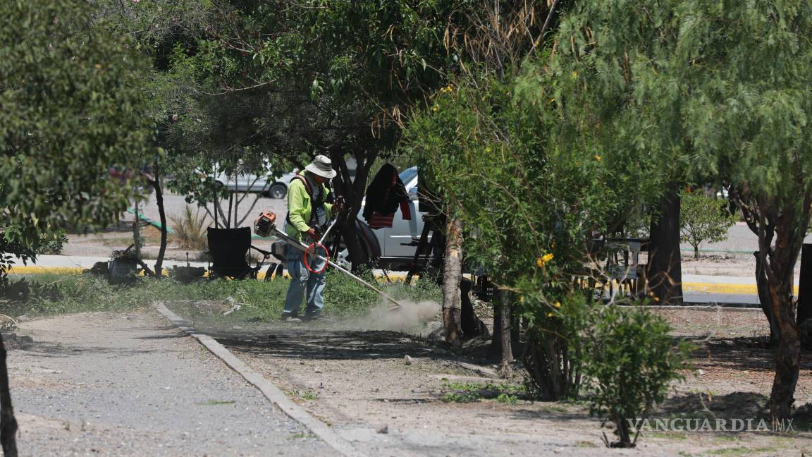 $!Acciones de deshierbe y limpieza en general realizan las brigadas del programa “Aquí andamos”.