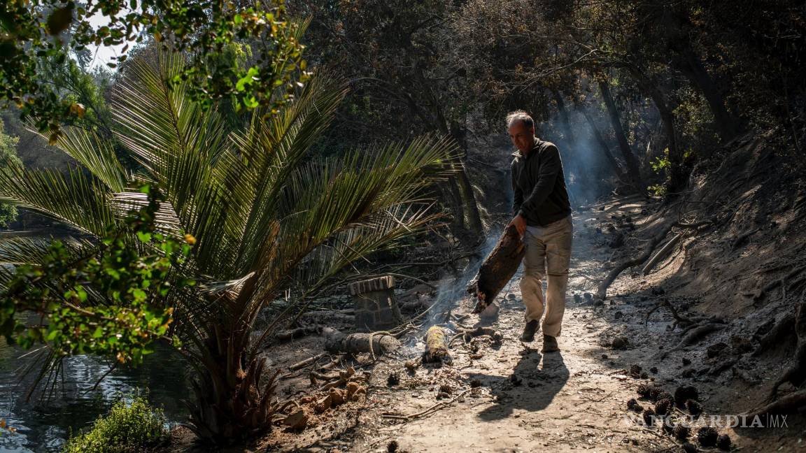 $!Alejandro Peirano, director del Jardín Botánico Nacional de Chile, camina por la propiedad en Viña del Mar, Chile.