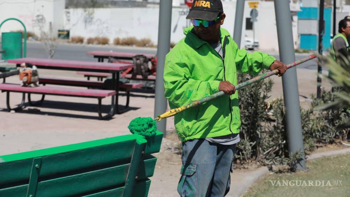 $!Además de la poda de palmas, el Ayuntamiento continúa con labores de mantenimiento en plazas públicas.