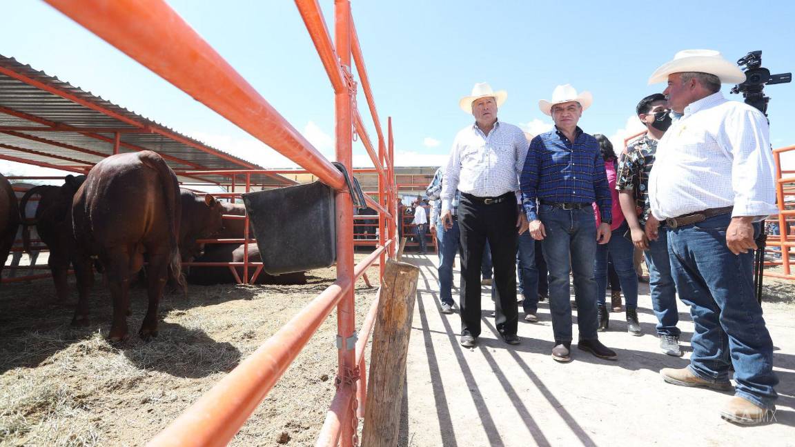 Llegará al campo de Saltillo el programa de Empleo Temporal