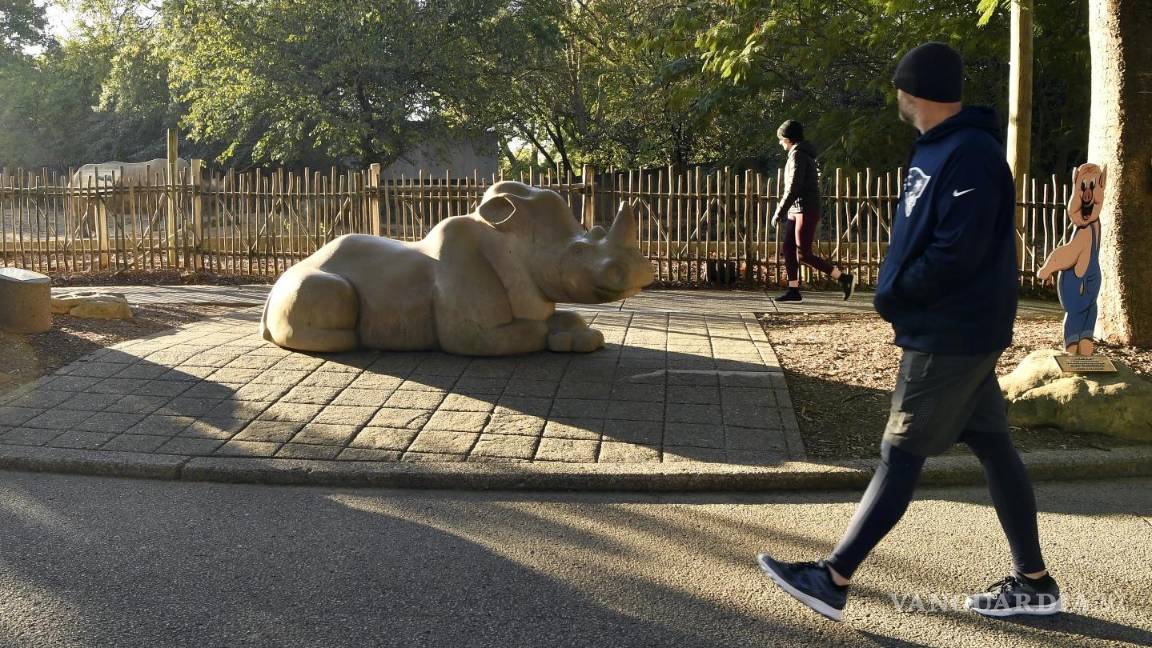 $!El estadounidense promedio camina de 3,000 a 4,000 pasos al día y está bien trabajar gradualmente hasta los 10,000.