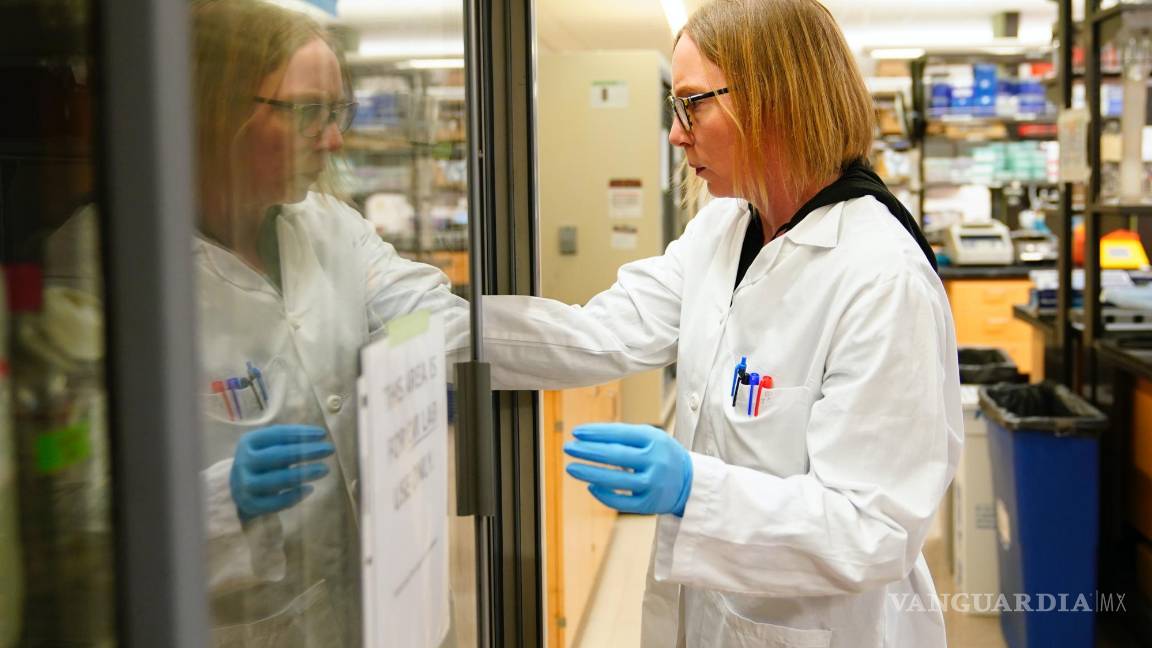 $!La científica principal Denise Cecil recupera suministros mientras trabaja en el Instituto de Vacunas contra el Cáncer de UW Medicine en Seattle.