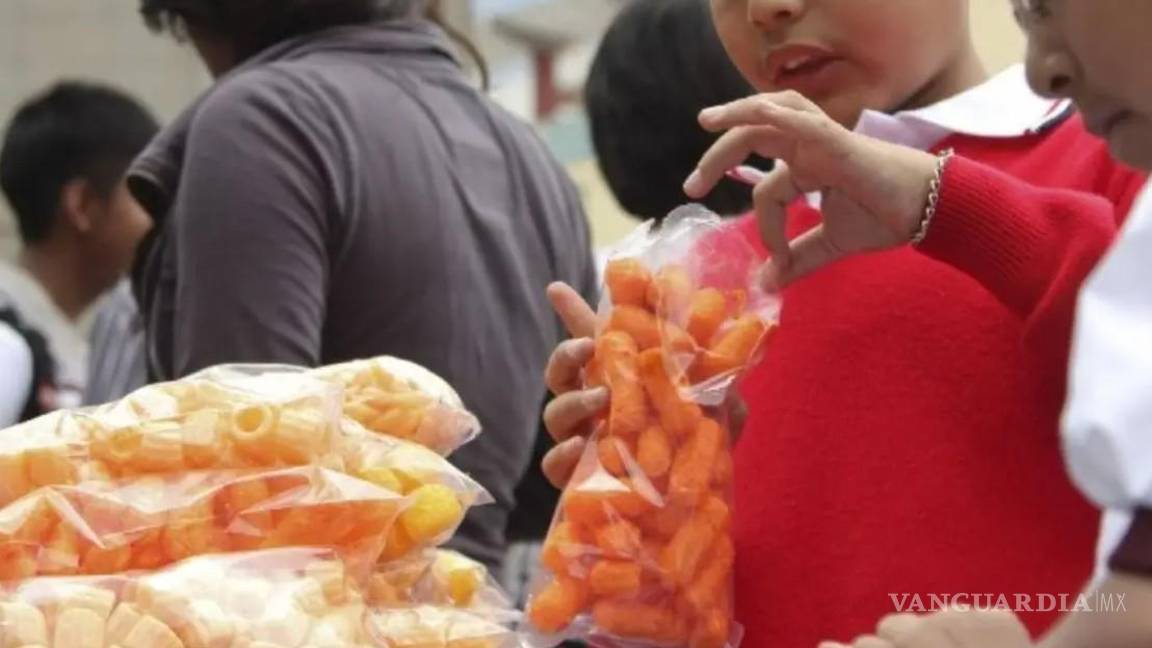 ‘Comida chatarra’: ¿es posible erradicarla de las escuelas?