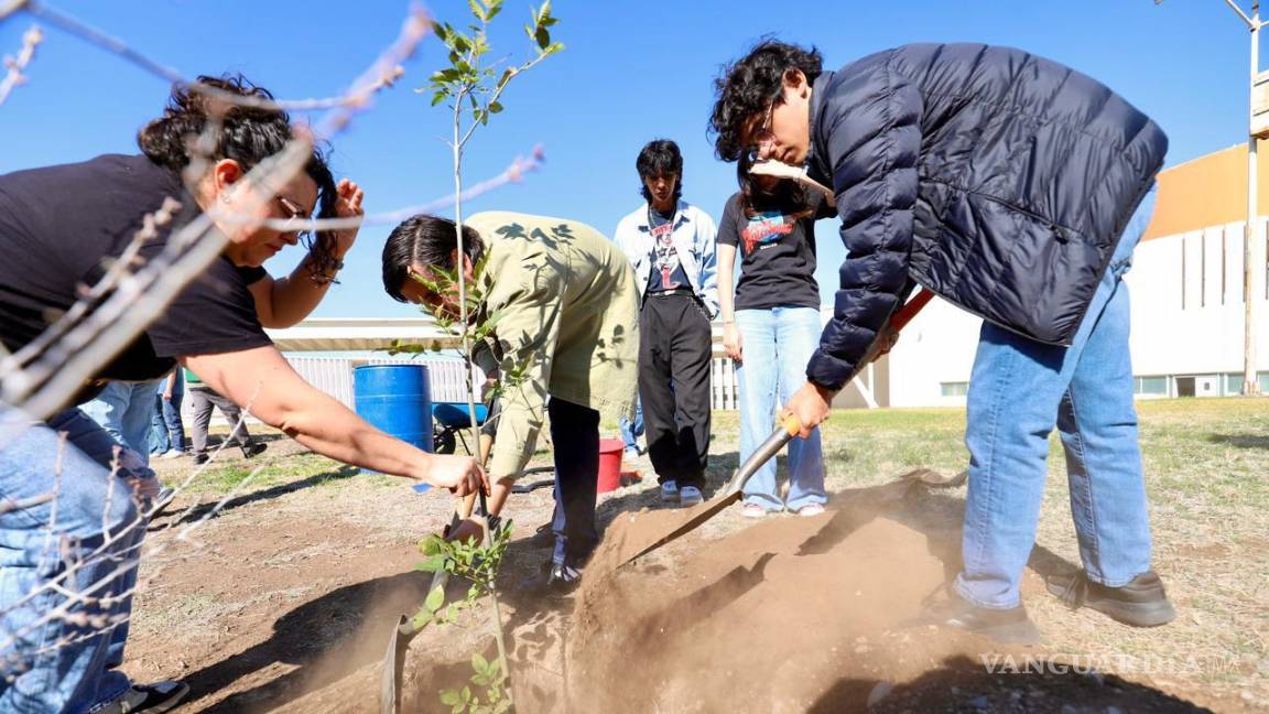 $!Alumnos de las facultades de Ingeniería y de Artes Plásticas participaron en las labores de reforestación.