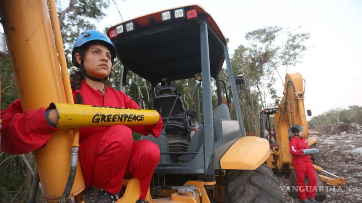 Activistas de Greenpeace buscan detener obras del Tren Maya, se atan a máquinas