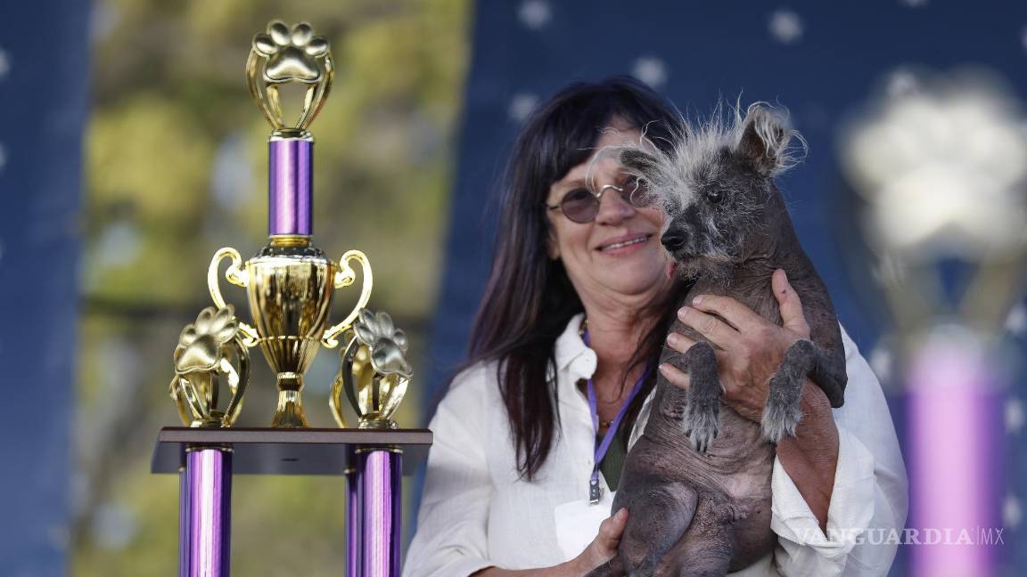 Conoce a Scooter, ‘el perro más feo del mundo’; concurso celebra las diferencias de los canes