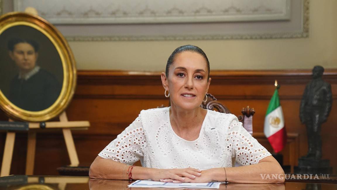 ¿Anular la elección judicial?