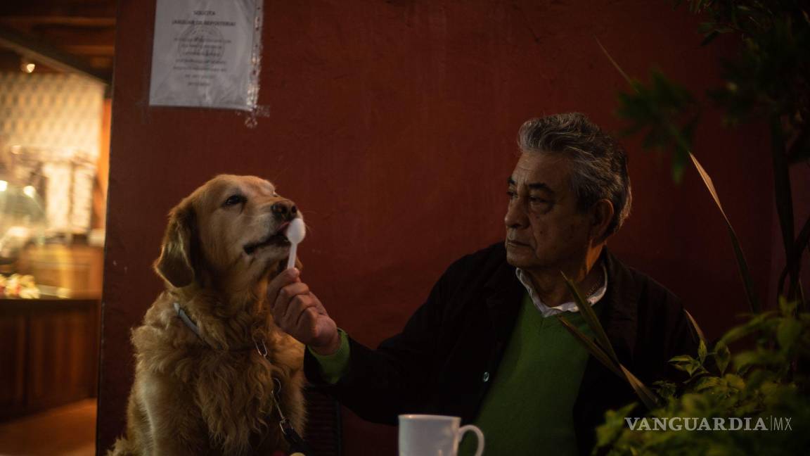 $!Un hombre convive con perro en una cafetería del centro de San Cristobal de las Casas.