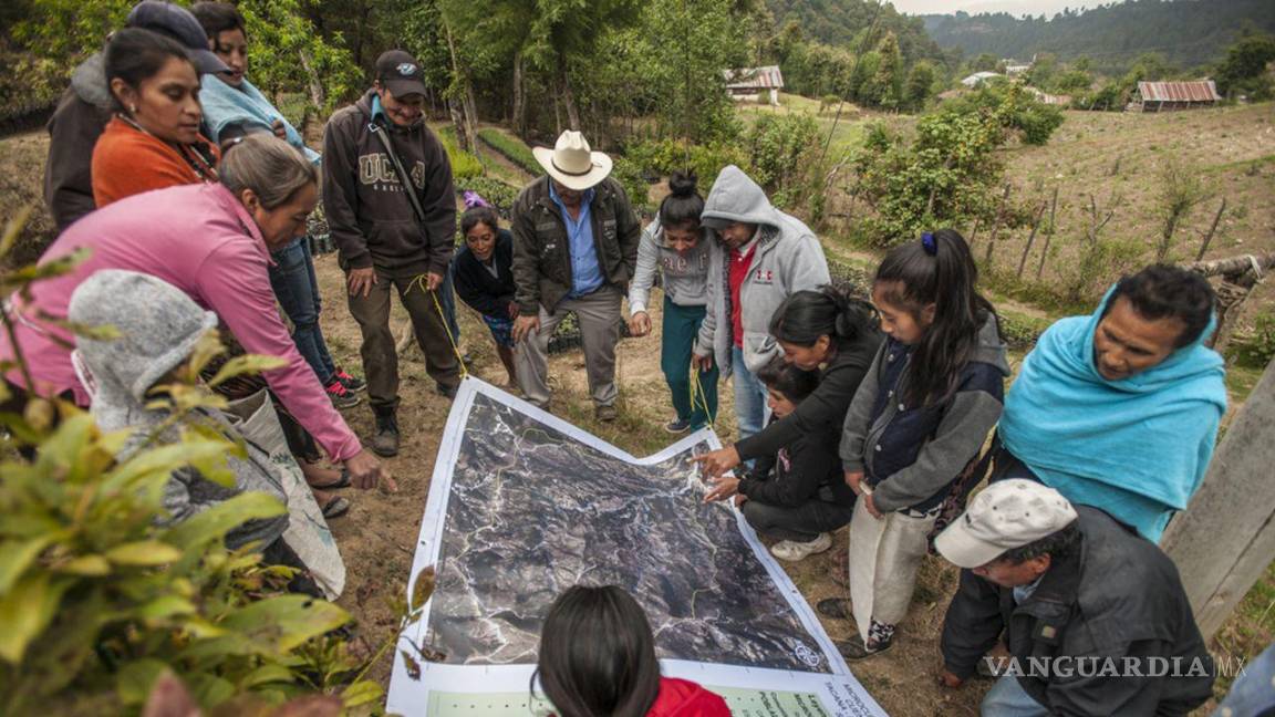 46 defensores indígenas asesinados o desaparecidos en México desde 2019: ONU-DH