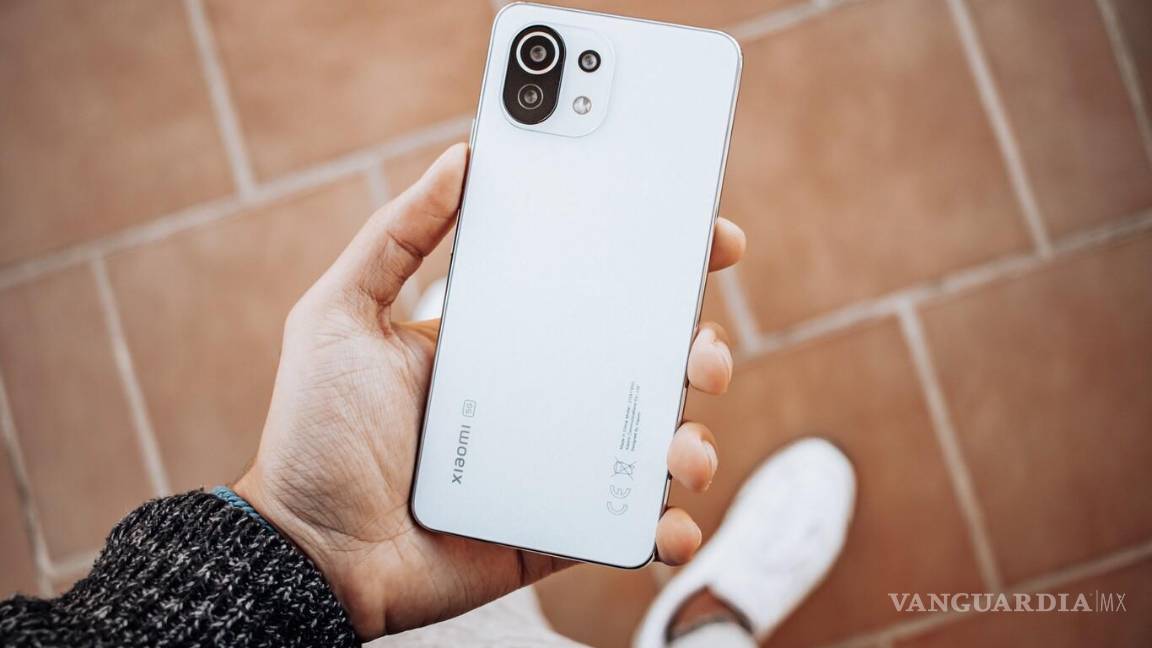 $!En los últimos tres años, las marcas chinas han ganado más de 12 puntos porcentuales de participación de mercado en México.