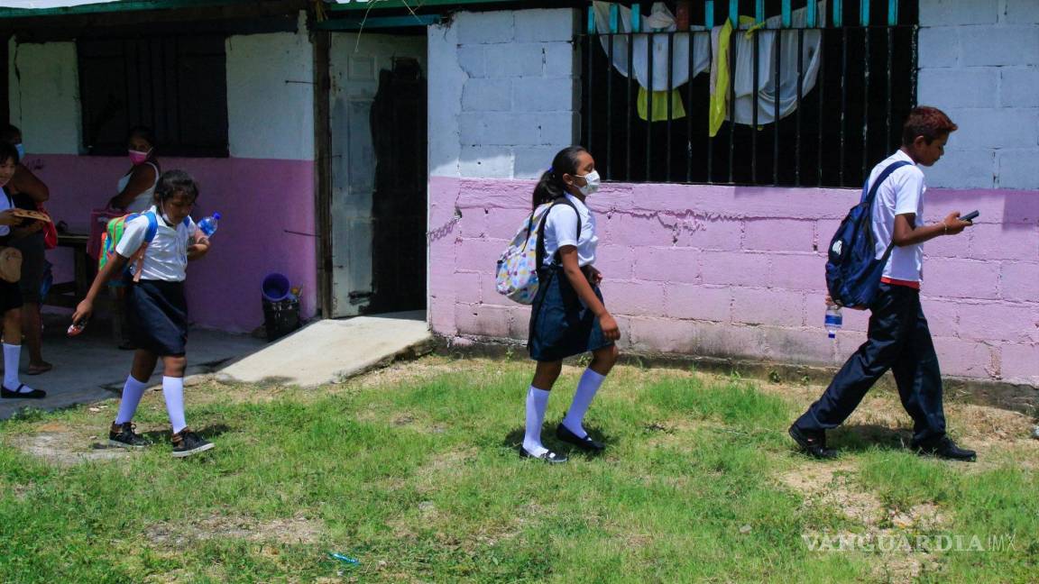 Absorben becas de la 4T recursos de aprendizaje, según análisis