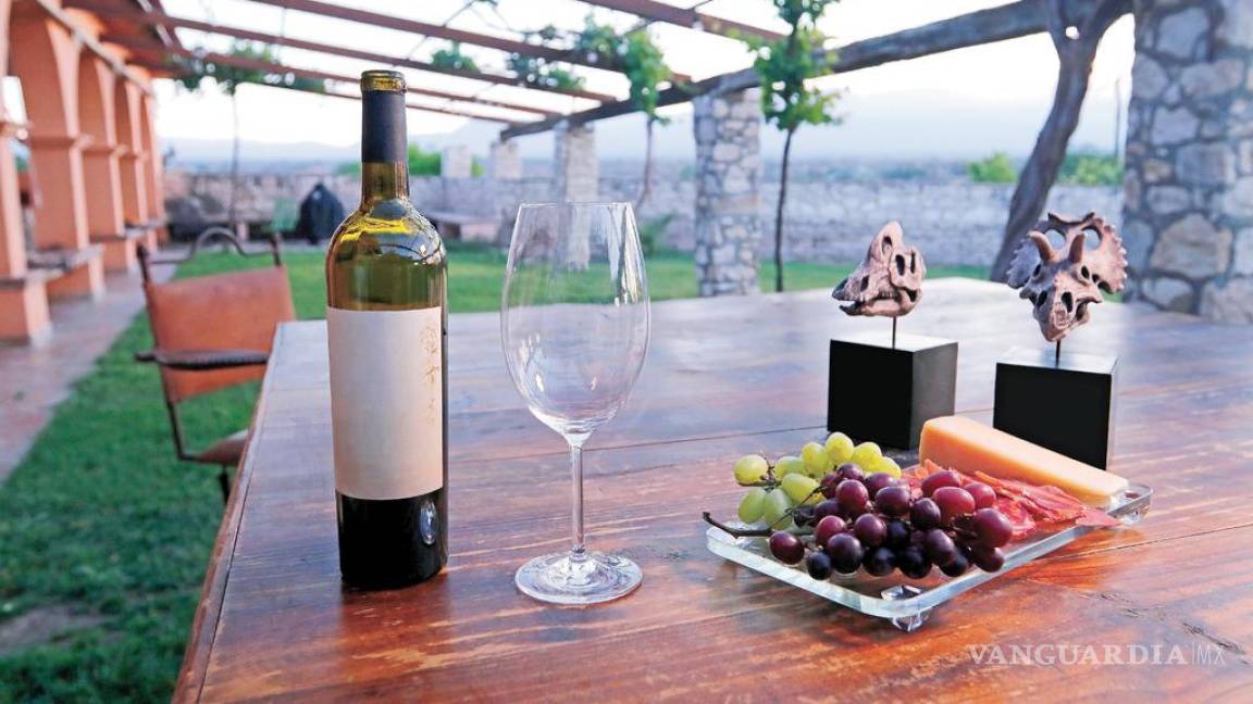 Día Mundial del Vino: Los mejores vinos coahuilenses que nos llenan de orgullo y sabor
