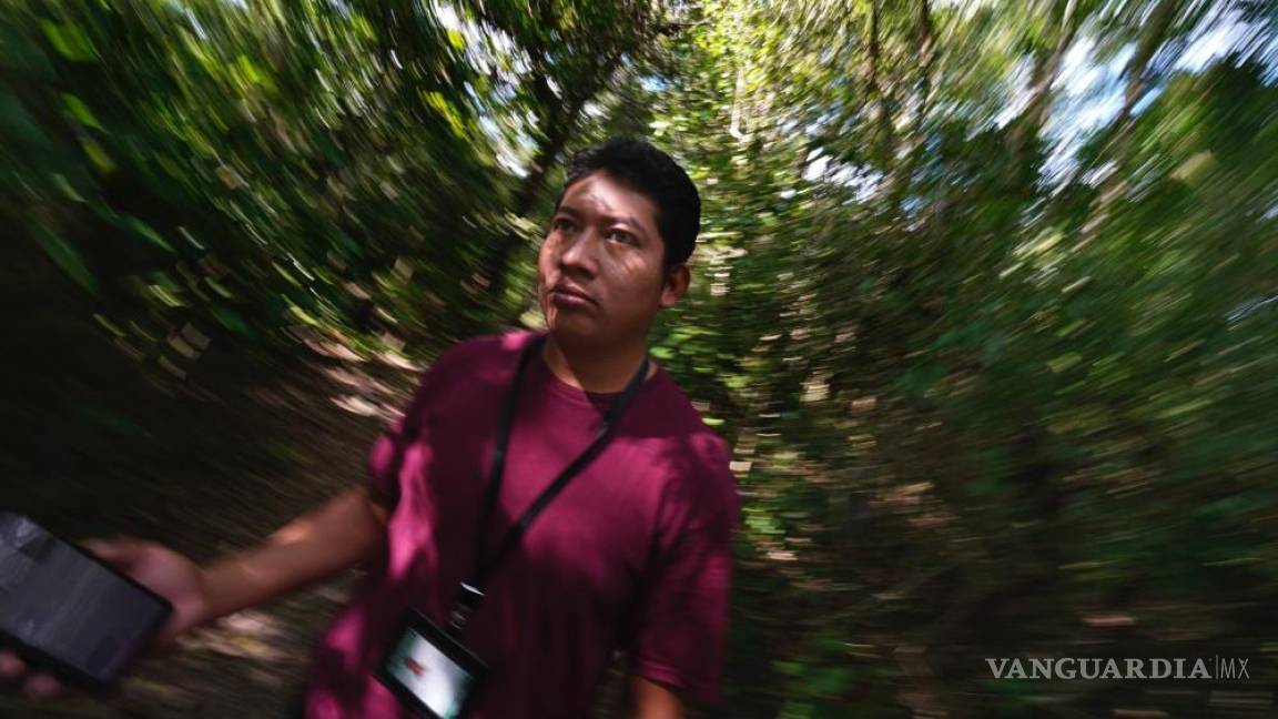 La selva de Calakmul, el nuevo foco rojo del Tren Maya