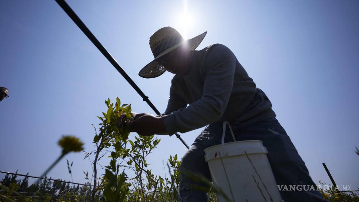 El cambio climático significa nuevos peligros para los trabajadores del campo