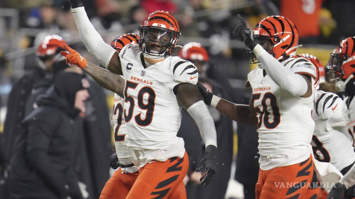 Los Bengals se imponen a Steelers y mantienen viva su esperanza de Playoffs