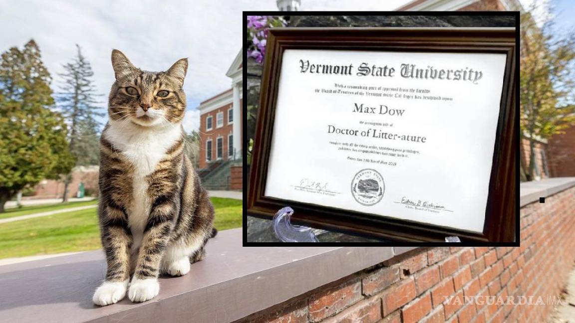 Gato recibe doctorado honorífico de una universidad de EU