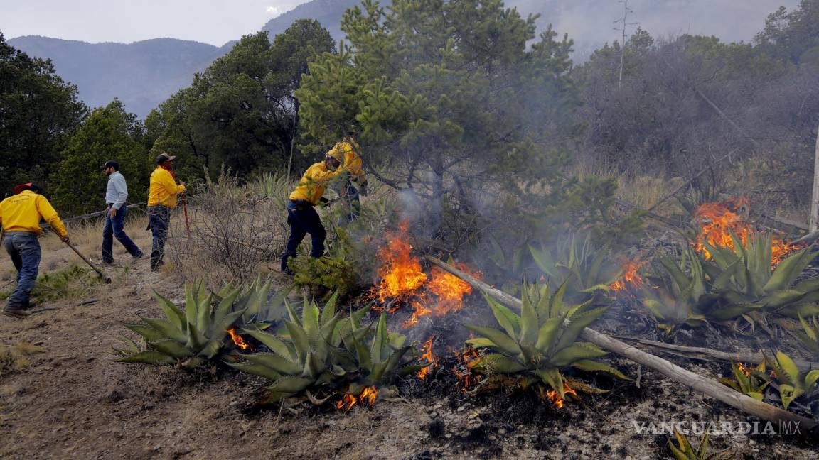 Clima ‘ideal’ en Coahuila para incendios forestales; hace mucho calor y poca humedad