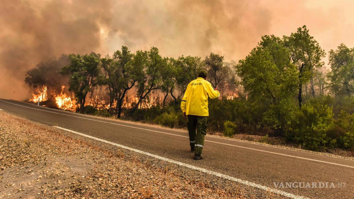 $!Un bombero intenta apagar un incendio forestal provocado por las temperaturas extremas en Larache, al norte de Marruecos.